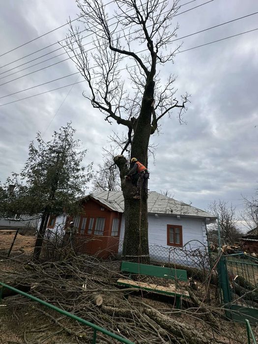 Рубаю дрова дровоколом