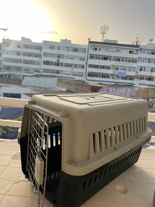 Caixa transportadora