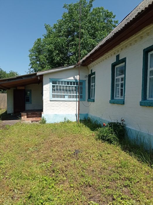 Продам садибу в селі Олишівка.
