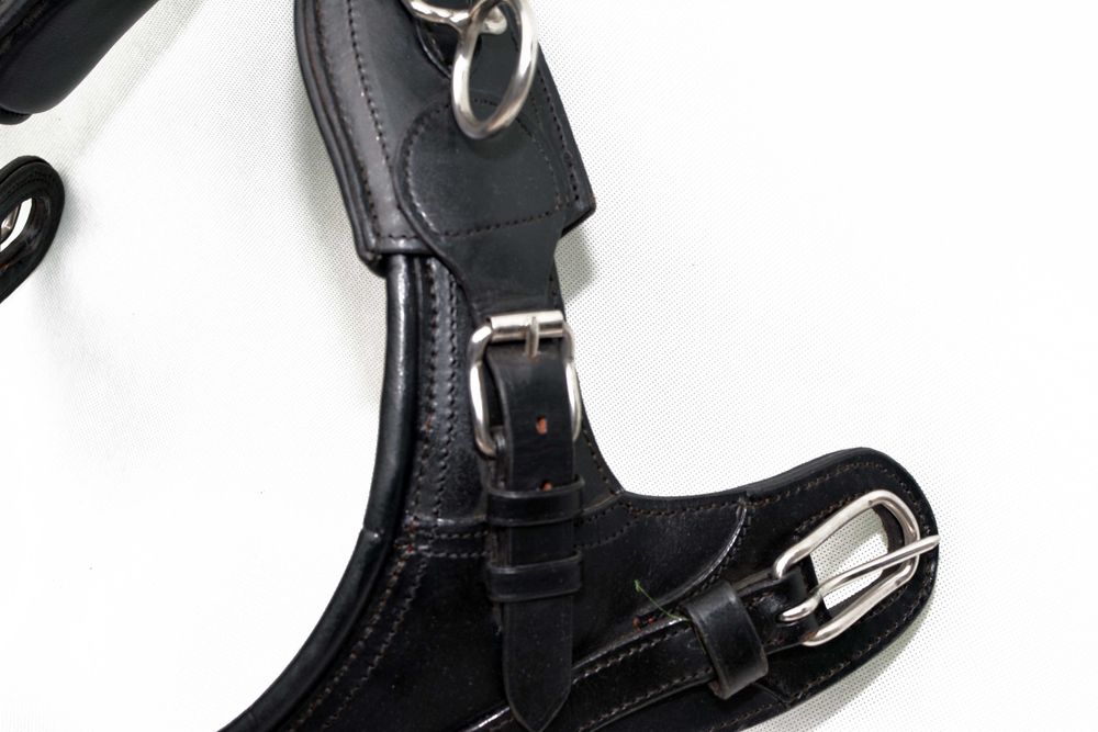 Chomąnto do zaprzęgu roz. shetty