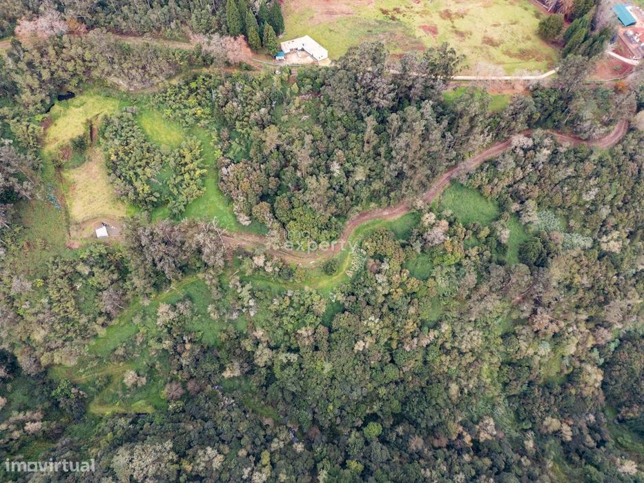 Terreno Rústico em Santana, Madeira