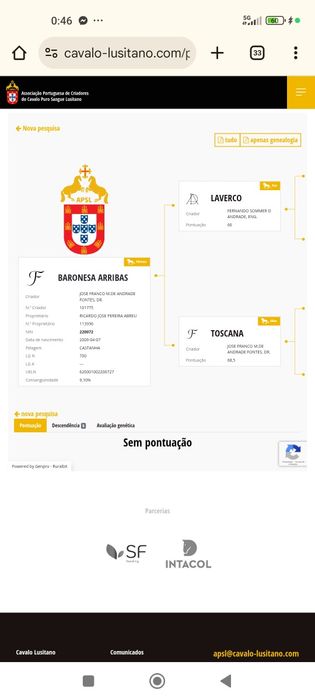 Égua PSL livro azul