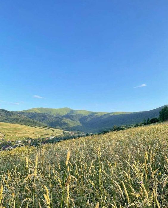 Оренда земельної ділянки в с. Гукливий, Мукачівський район,Закарпатська область.
