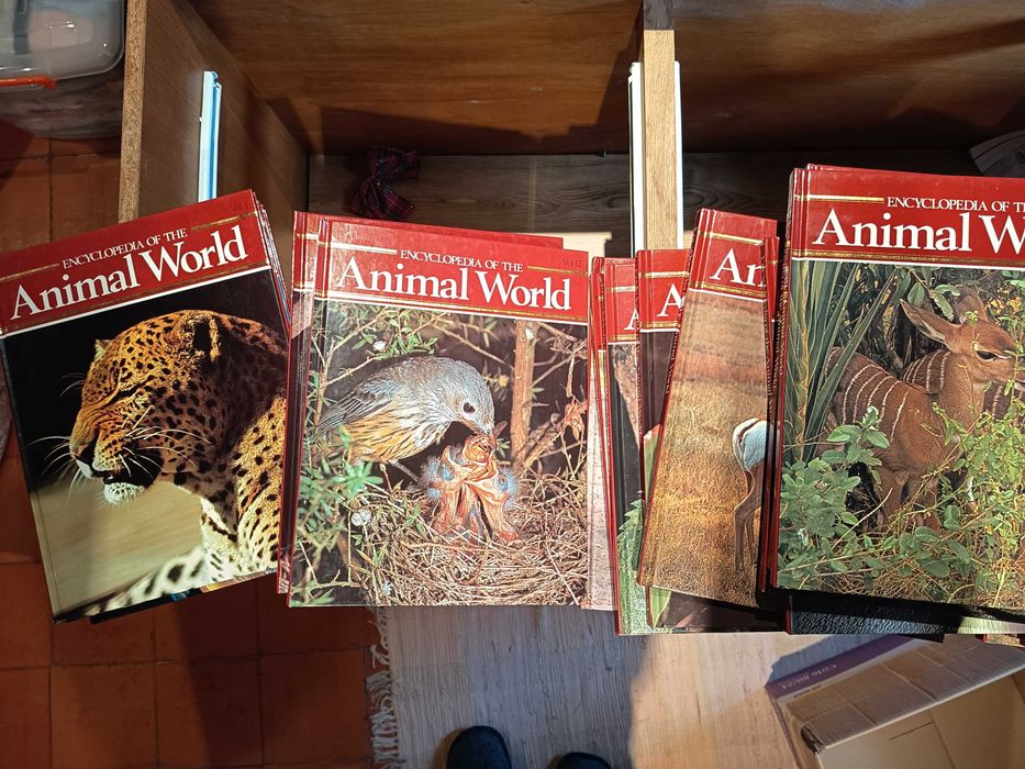 Enciclopédia do Mundo Animal (Encyclopedia of the Animal World)