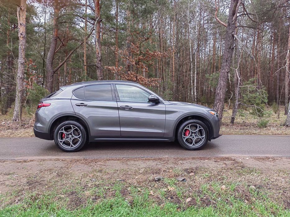 Alfa Romeo Stelvio 2.0T Q4 panorama 1 właściciel w Polsce