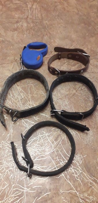 Ошейник натуральная кожа и намордник