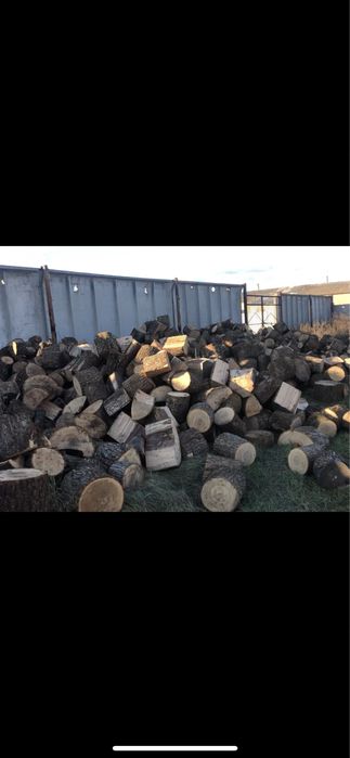 Дрова дубовые змиев