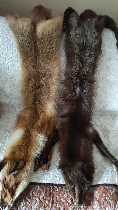 Kolnierz z lisa 2 sztuki