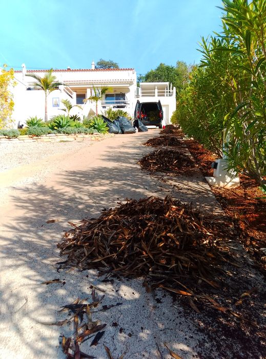 Jardins e Manutenção