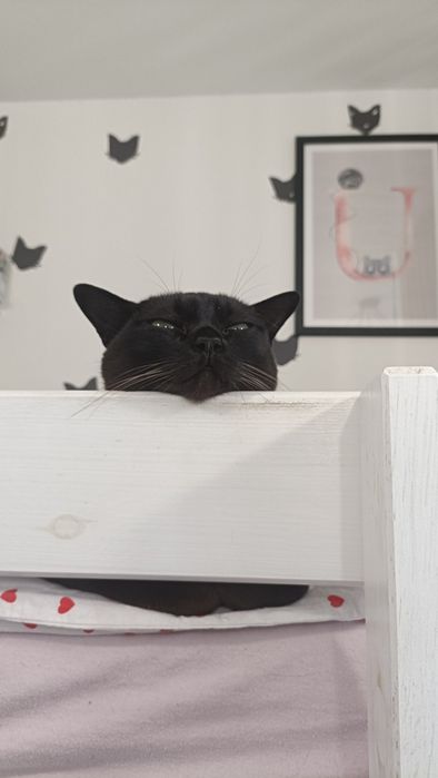 Łóżko piętrowe na antresoli 80*200