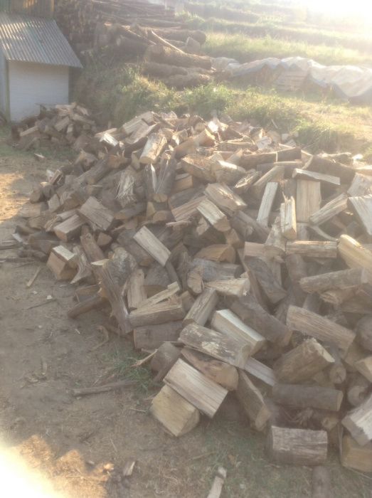 Venda de lenha seca