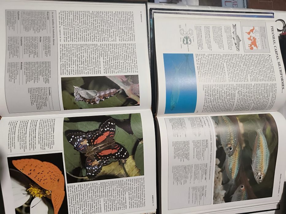 Enciclopédia Animais: 7 livros