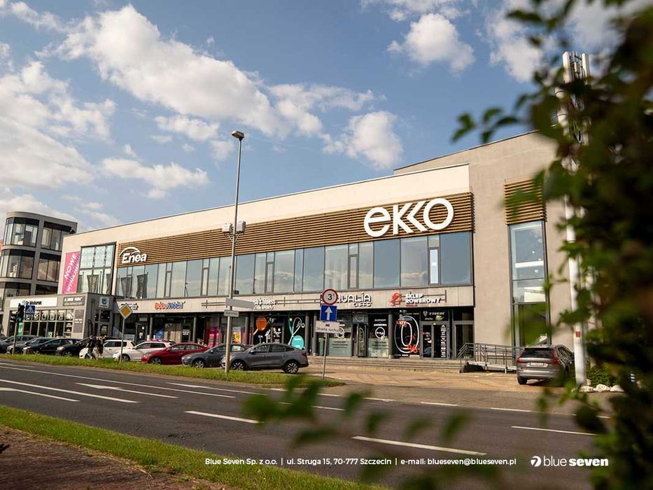 Powierzchnia do wynajęcia na pierwszym  piętrze