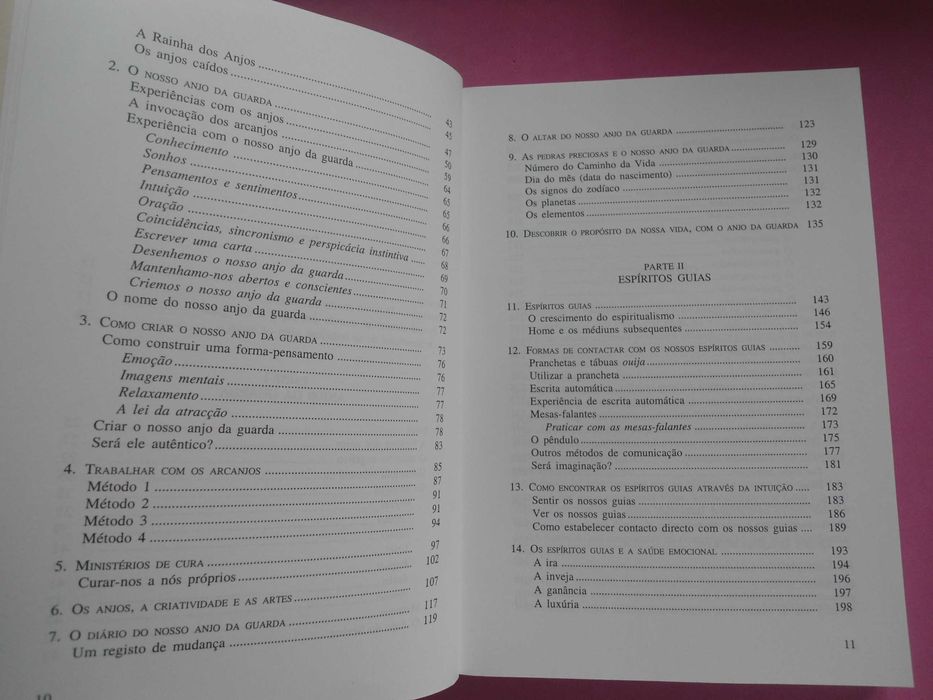 Espíritos Guias e Anjos da Guarda por Richard Webster