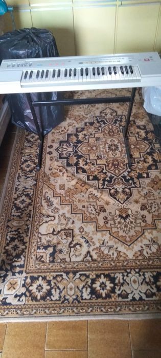 Vendo órgão  eletrônico para desocupar