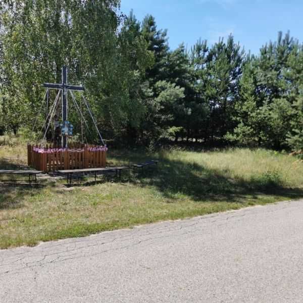 Zdjęcie 3