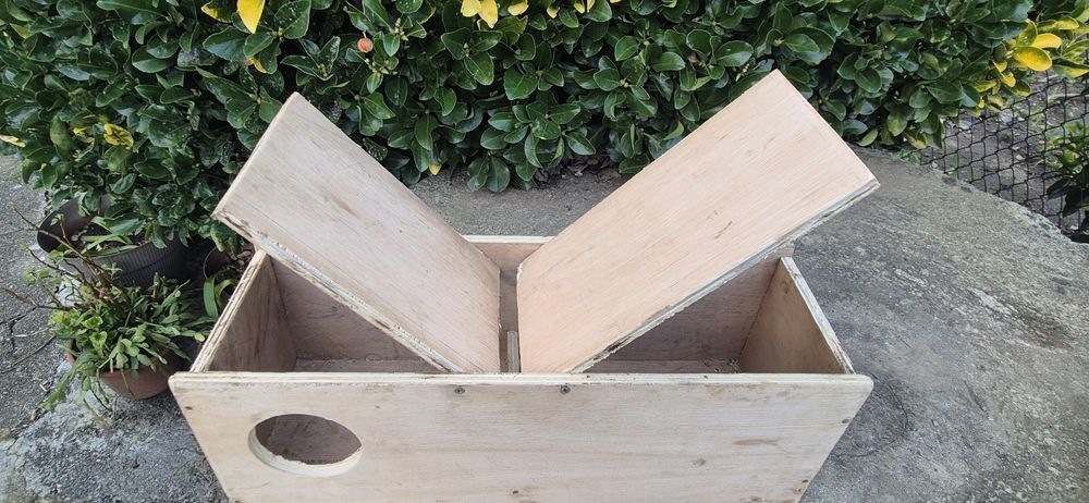 Ninho para agapornis