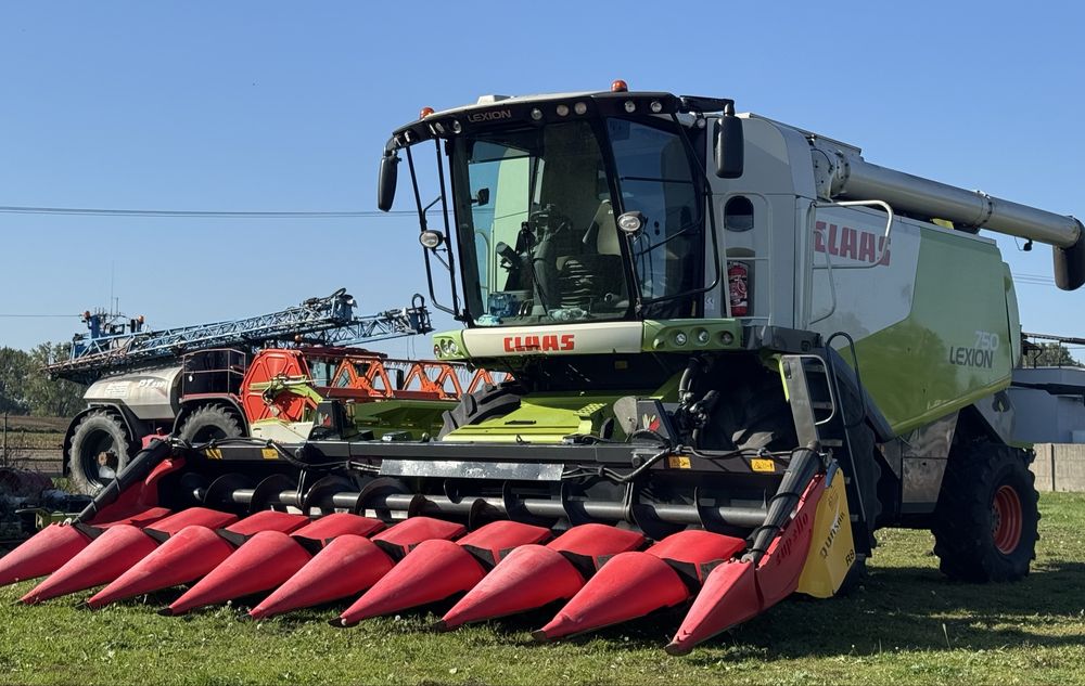 Usługa koszenia, zbiór kukurydzy na ziarno Claas Lexion Capello