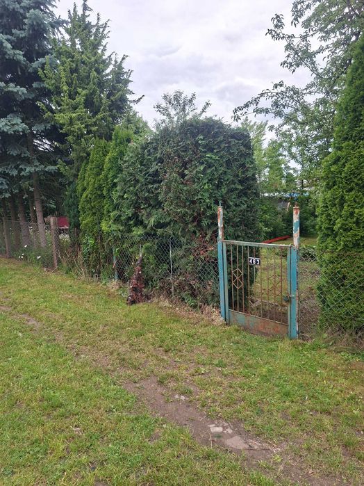 Ogródek działkowy ROD Szczecin Łukasińskiego - Widok 2