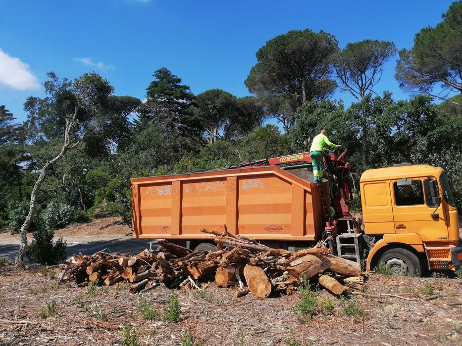 Limpezas de Terrenos e Serviços Florestais