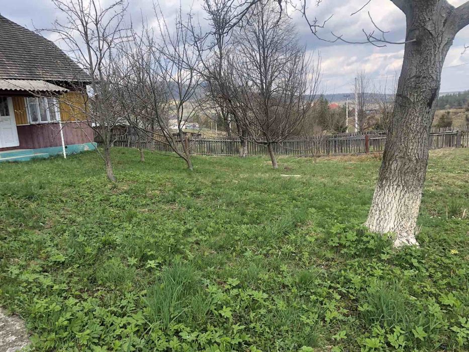 Продається будинок та літня кухня село пороги