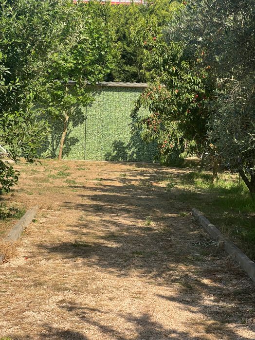 Quinta junto ao rio arado  a 3km de Silves