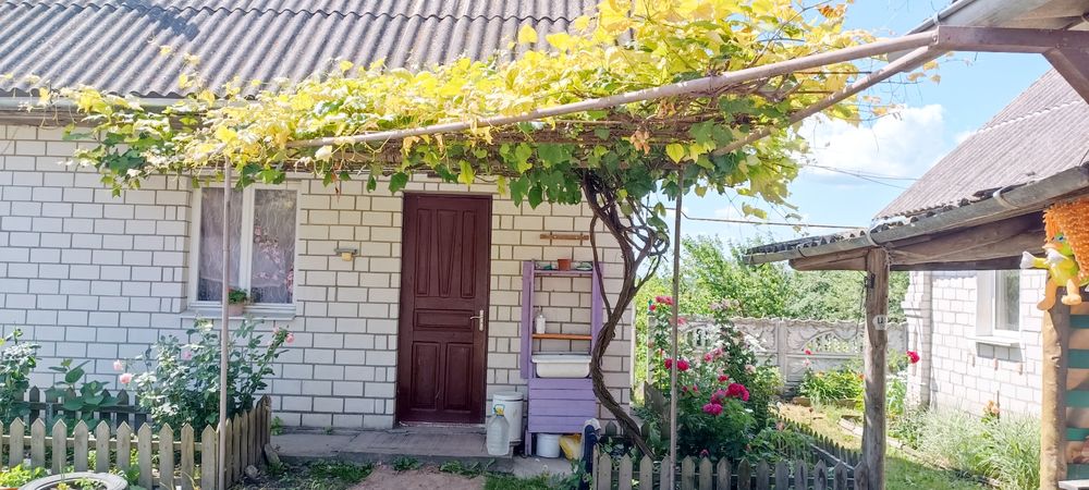 Будинок в с.Городище /25 соток ,газ ,світло ,сади