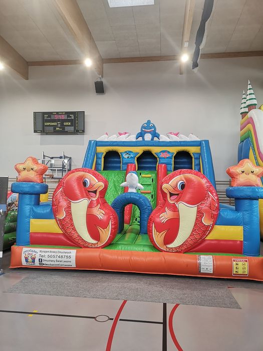 Zamek dmuchany / dmuchańce / dmuchaniec / PIANA PARTY / BYK RODEO