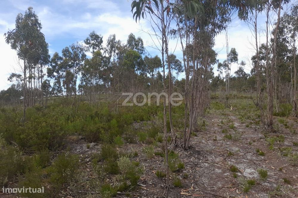 Terreno Rustico com 12580m2