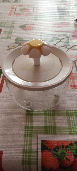 Bebedouro fonte para gatos