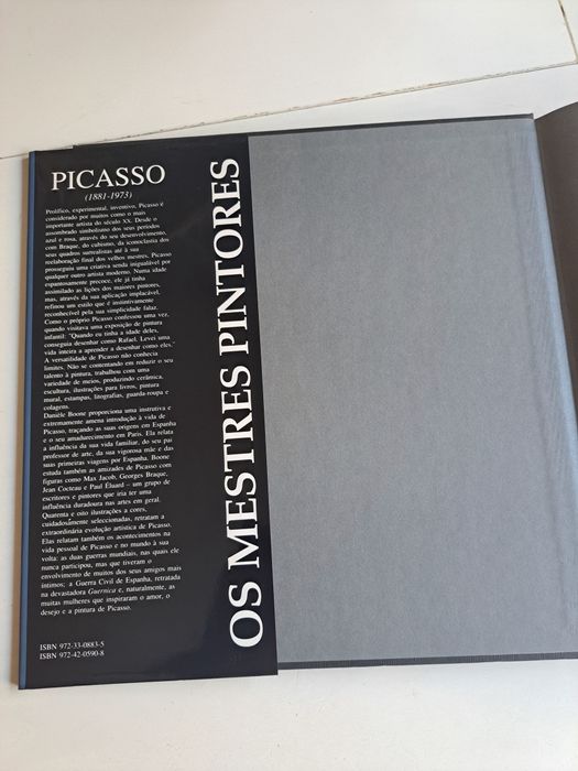 Os Mestres Pintores - 18 Volumes