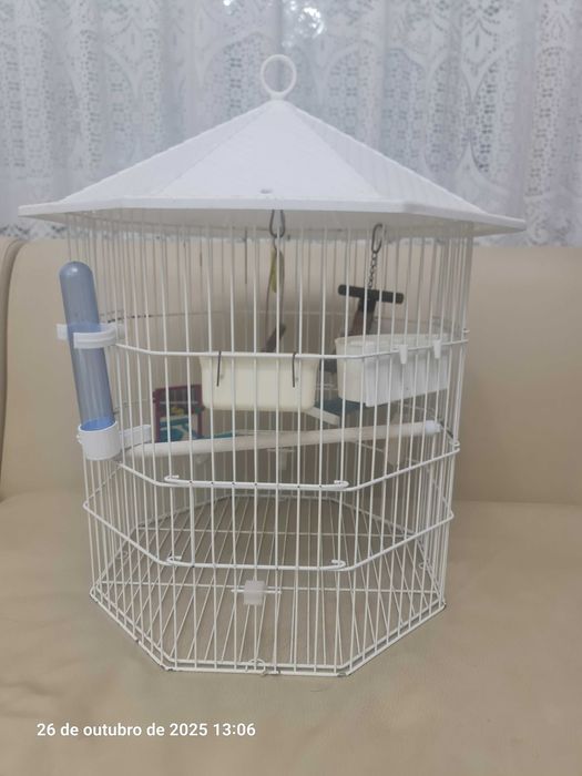 gaiola hexagonal - Nº 264553065358850123