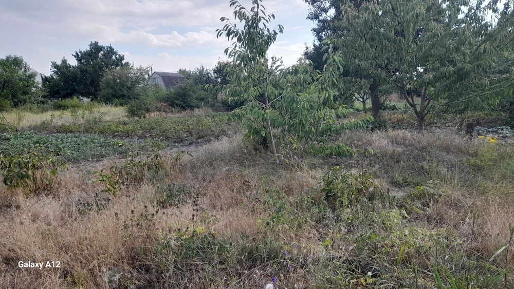 Продам дачу в р-н ФДБ. ТОРГ