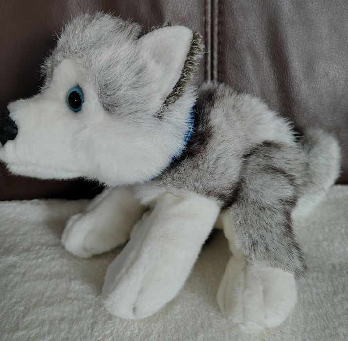Pluszak pies husky Blizzard Kell Toys