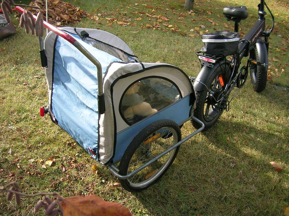 przyczepka rowerowa riksza dla dziecka ładna