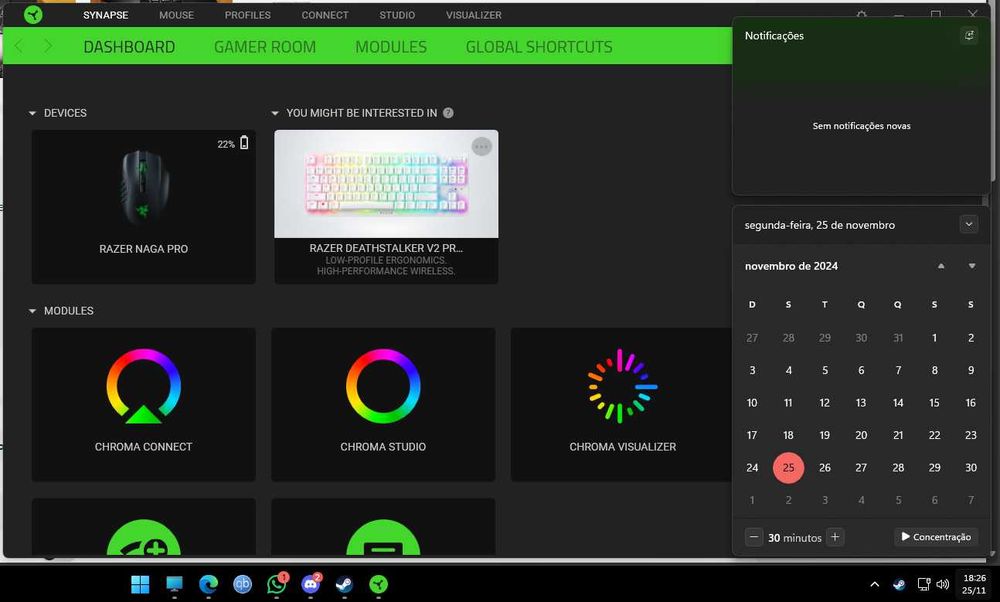Rato Gaming Razer Naga Pro SEMINOVO - GARANTIA