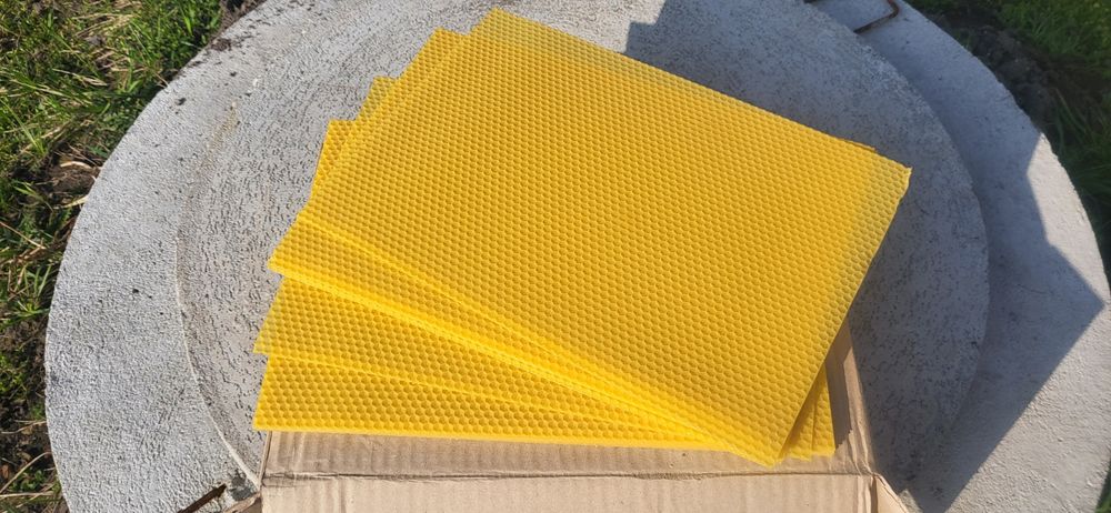 Węza Pszczela Wielkopolska,Dadant 55zl/ kg