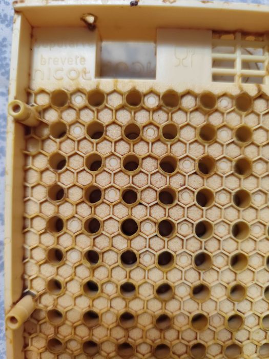 Продам стільник Niсot, оригінал