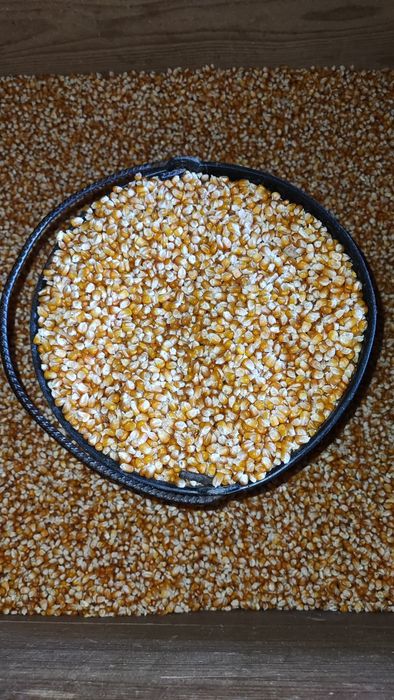 Milho miúdo caseiro