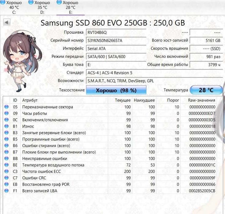 SSD Samsung 860 EVO 2.5 250 GB (MZ-76E250BW)