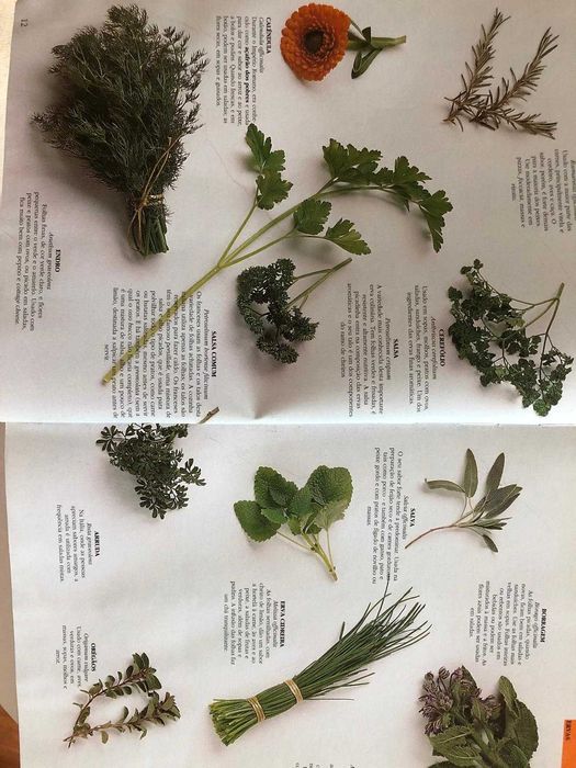 Enciclopédia "Ingredientes" – Loukie Werle e Jill Cox (384 pág.)