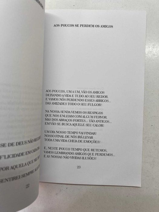 Livro - As Palavras depois dos Oitenta (ctt editorial grátis)