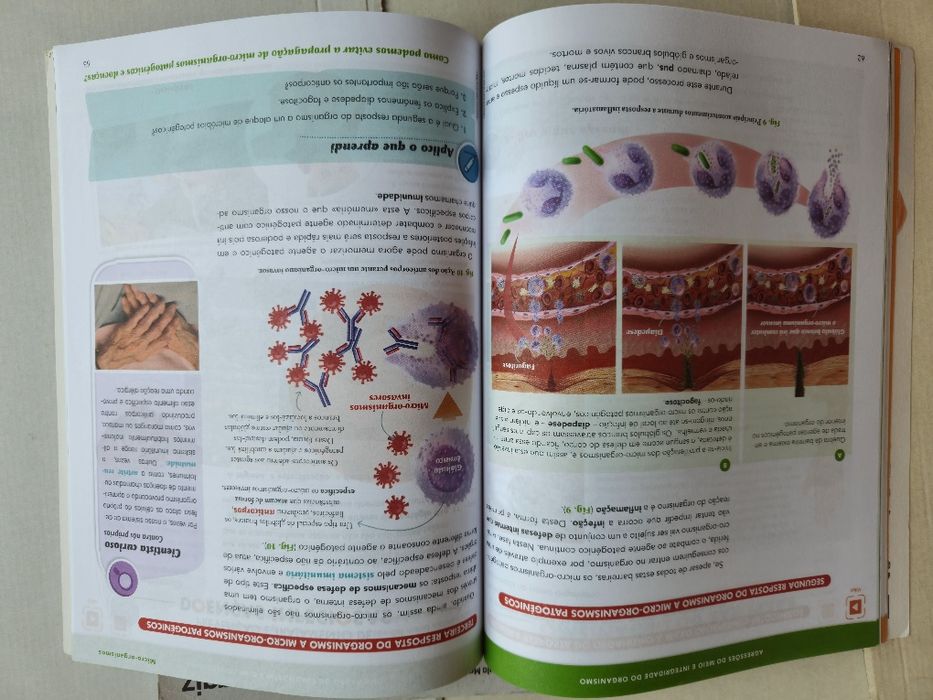 Livros/Manuais Escolares 6° Ano Ciência Viva/Ciências Naturais Parte 1