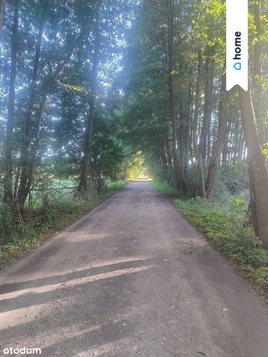Budowlana działka Pędzewo - Widok 3