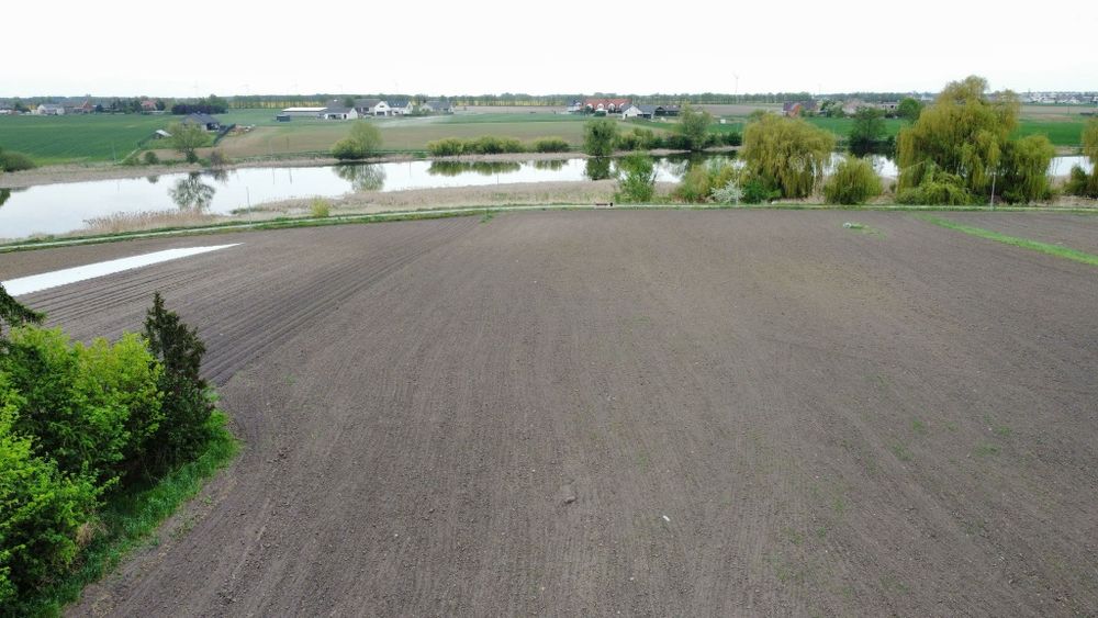 Zdjęcie 4
