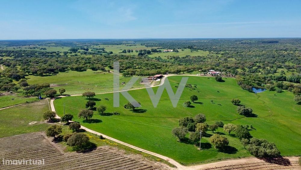 Herdade no coração do Alentejo de 307 hectares, com produção vinícola,