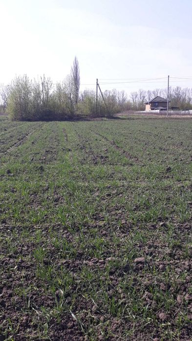 Ділянка Копистинське шосе.