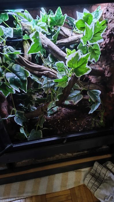 Terrarium 45x45x60