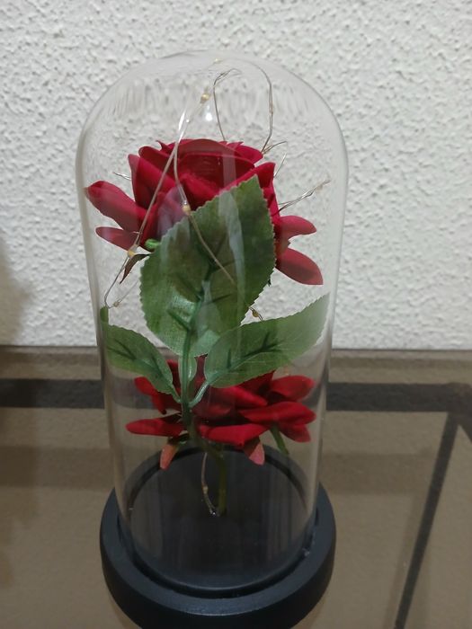 Redoma de Vidro Com Led