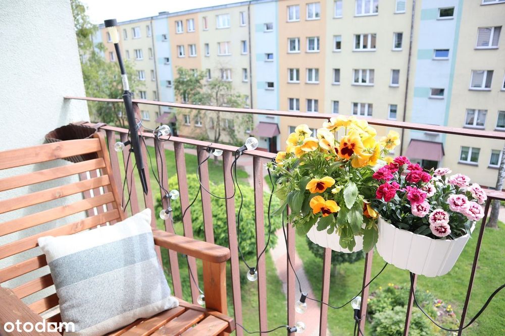 45,90 m², aż 3 pokoje. Przytulne mieszkanie na Antoniuku | 0% prowizji - Widok 5